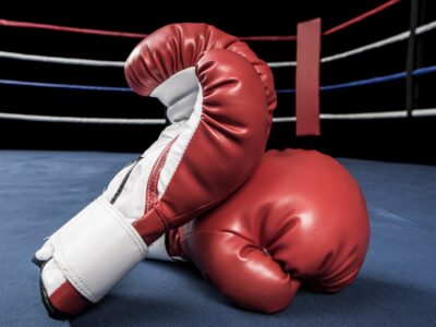 Regina Halmich Vermögen