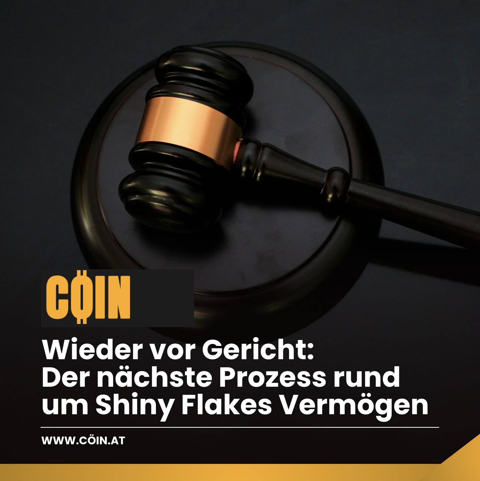 Wieder vor Gericht: Der nächste Prozess rund um Shiny Flakes Vermögen