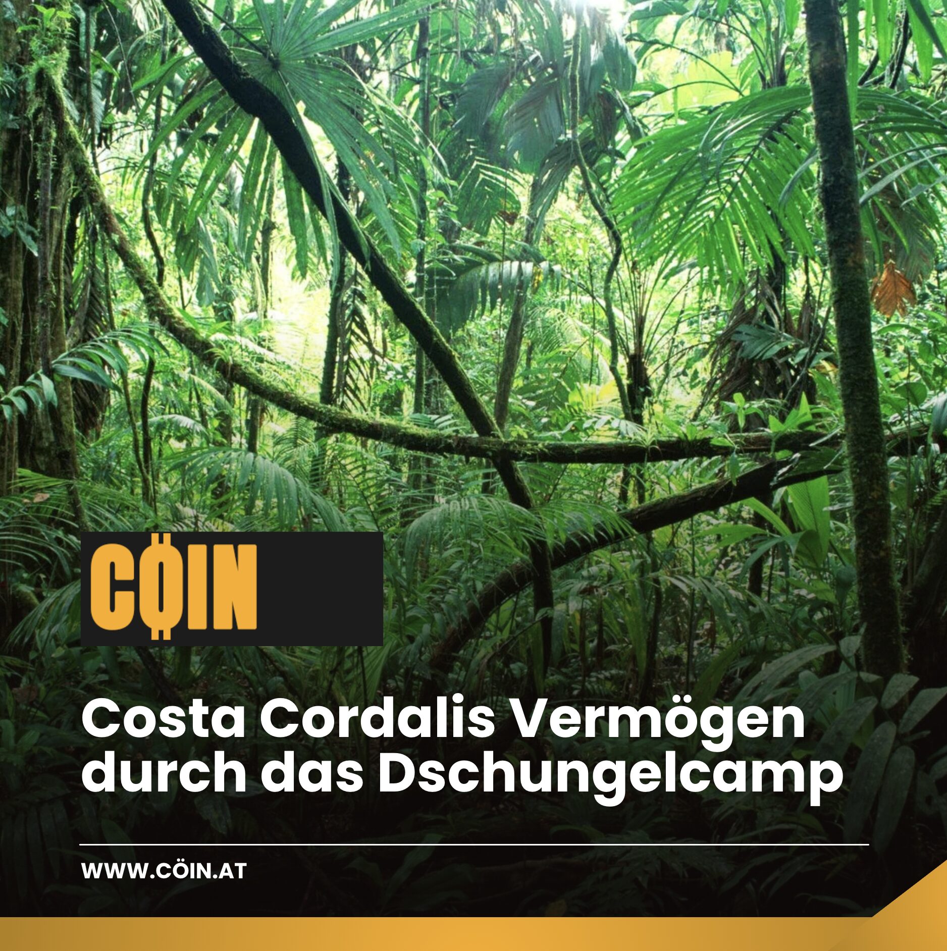 Costa Cordalis Vermögen durch das Dschungelcamp Costa Cordalis Vermögen durch das Dschungelcamp