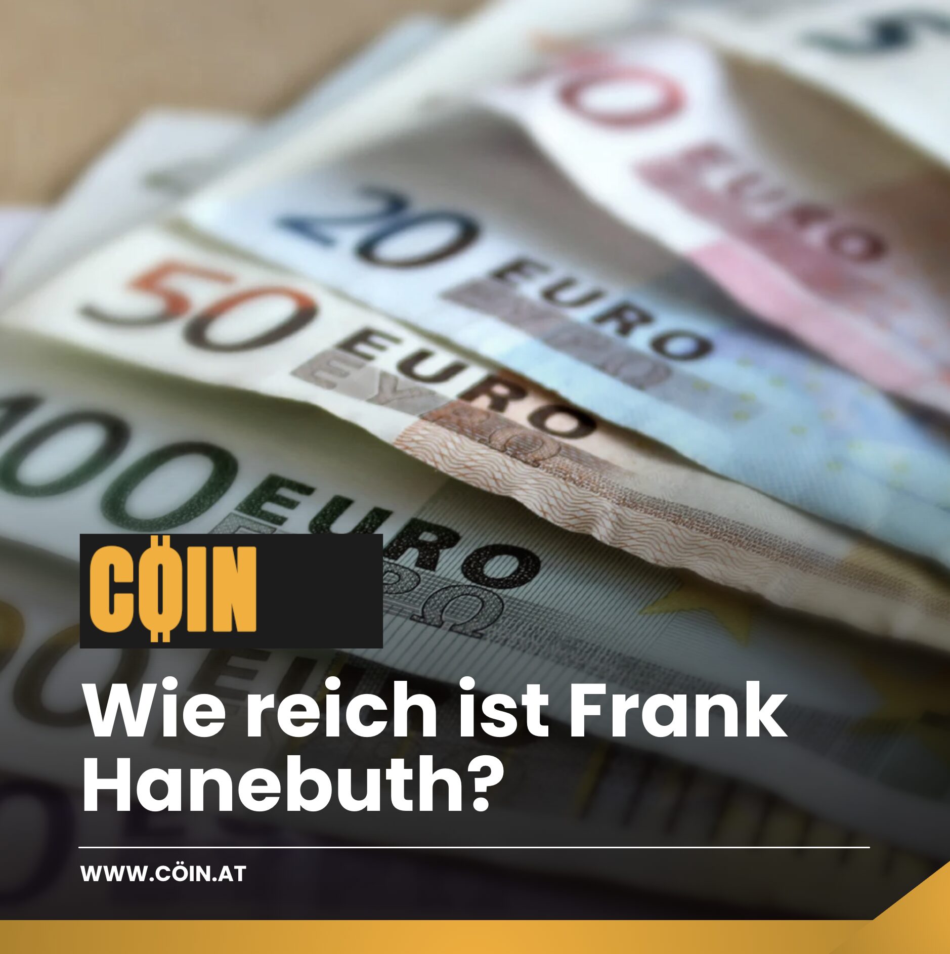 wie reich ist Frank Hanebuth?