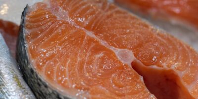 was ist der teuerste fisch der welt