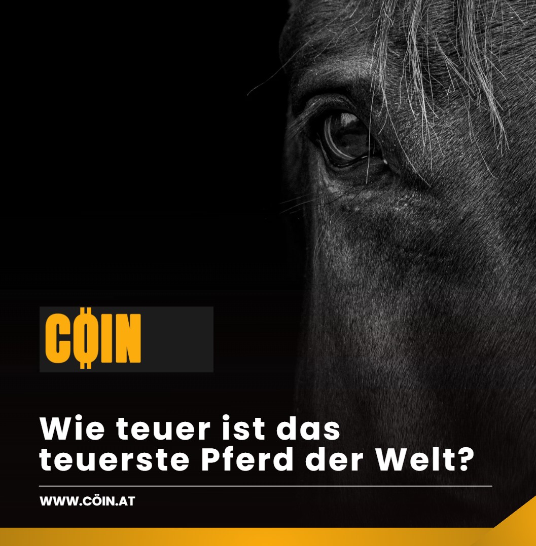 Wie teuer ist das teuerste Pferd der Welt Der Wert eines Pferdes Wie teuer ist das teuerste Pferd der Welt Der Wert eines Pferdes